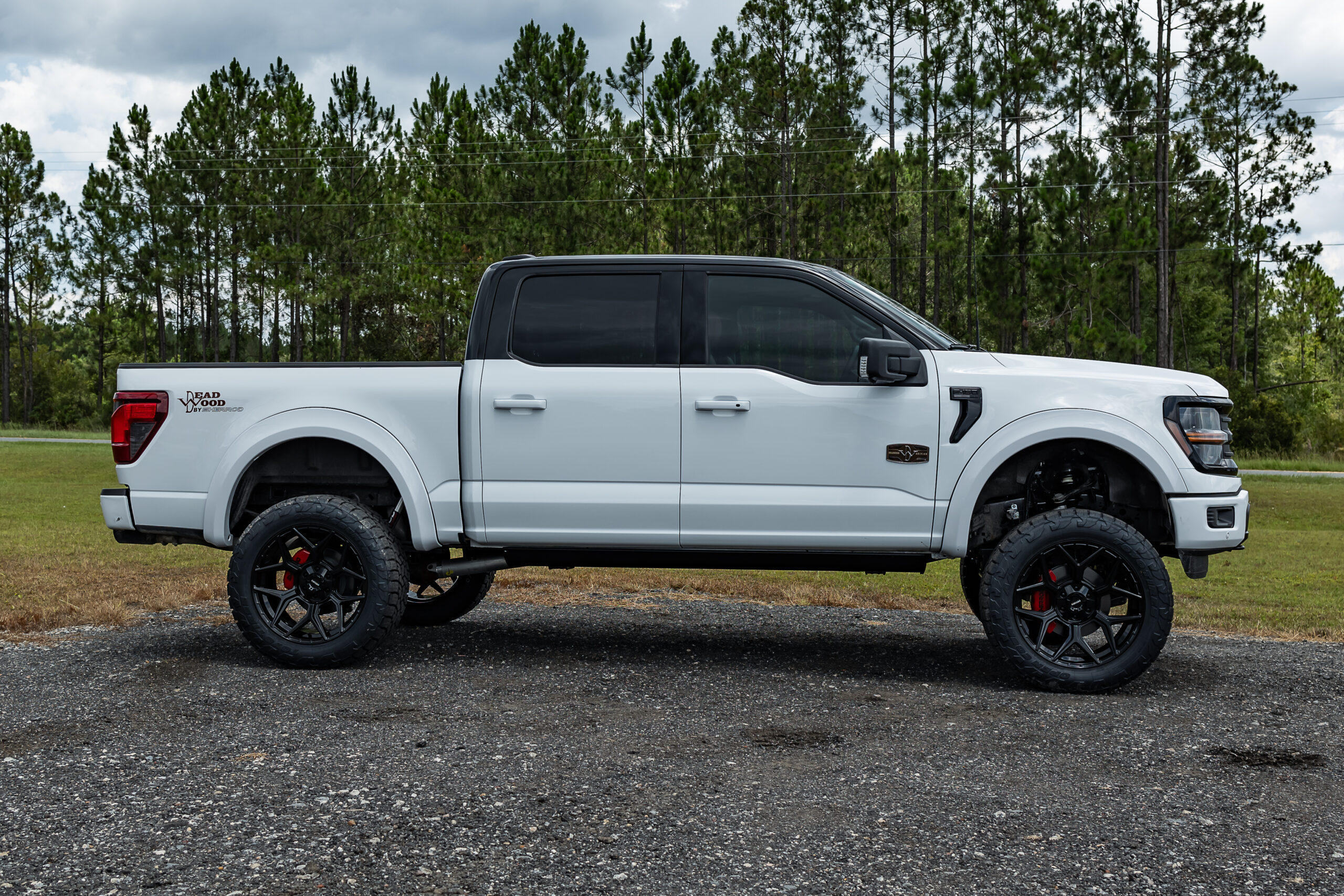 Ford F-150 Deadwood White