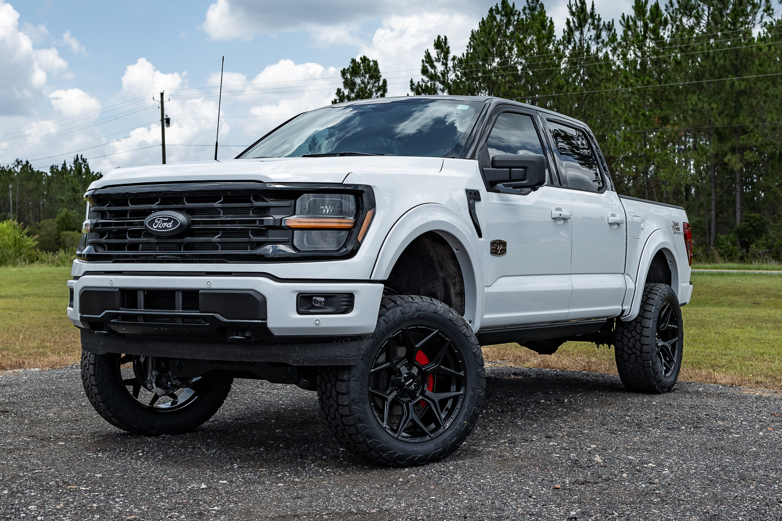 Ford F-150 Deadwood White