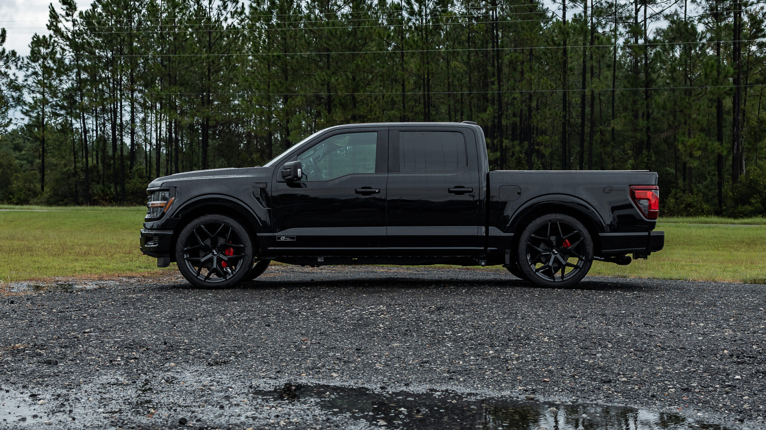 Ford F-150 Geneva Black