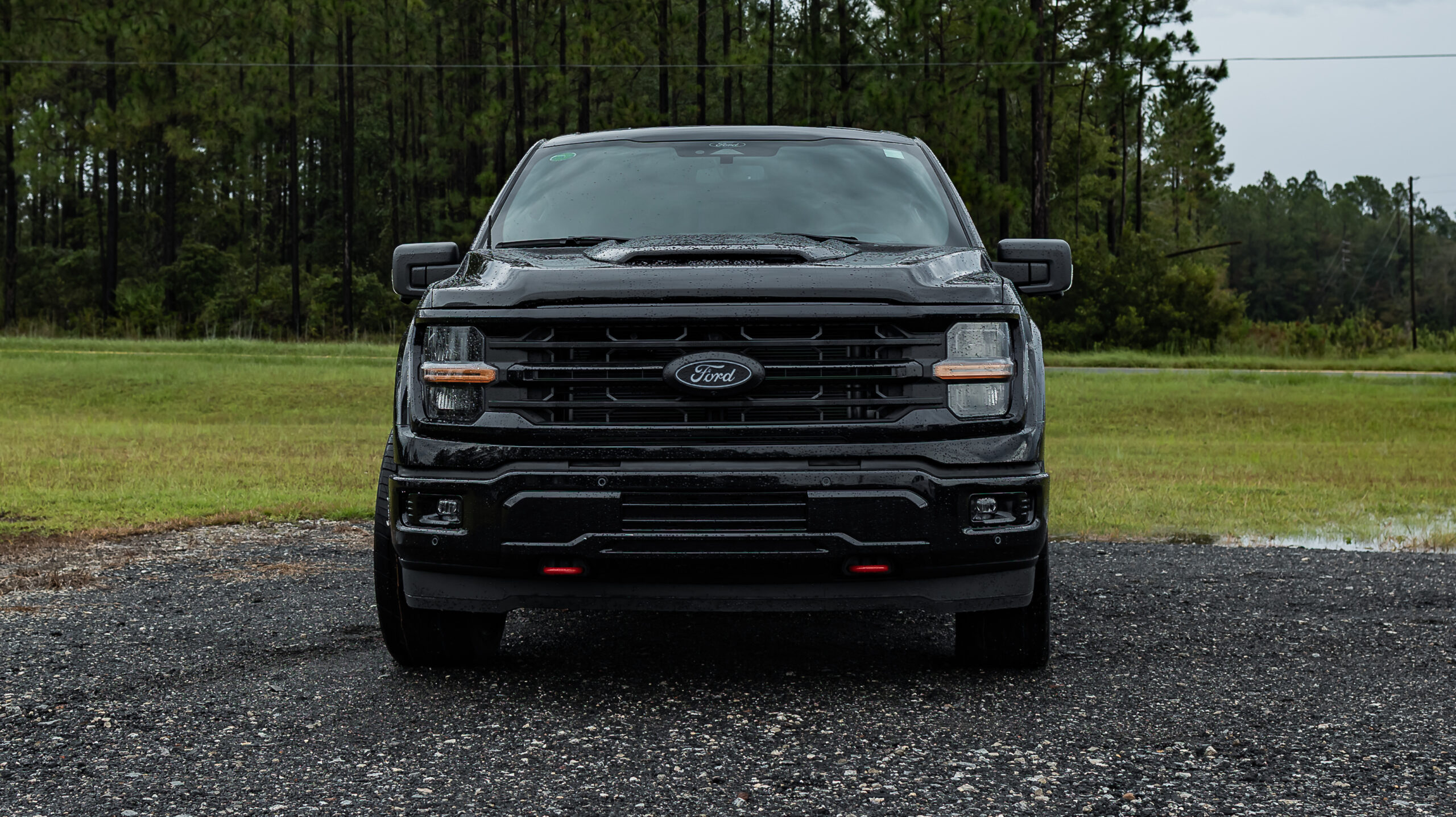 Ford F-150 Geneva Black